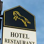 Wildpferd Hotel Dülmen