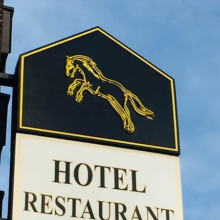 Wildpferd Hotel Duelmen