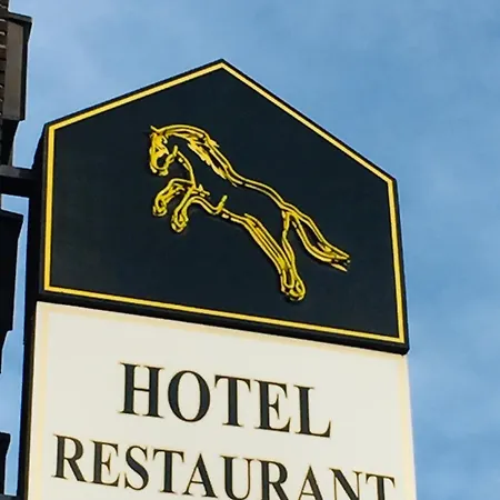 Hotel Wildpferd 2*
