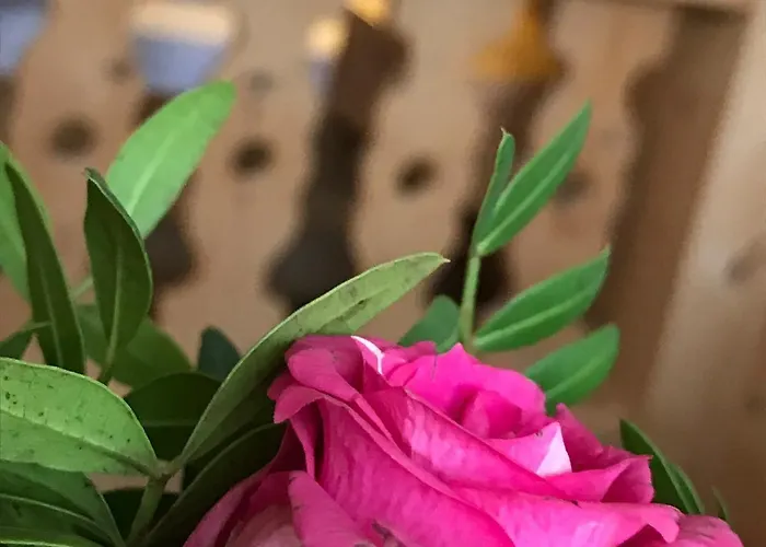 Wildpferd Szálloda 2*