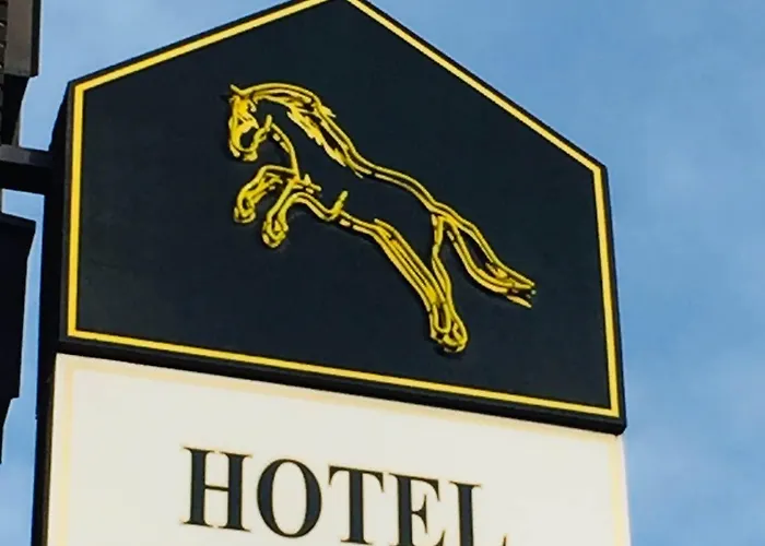 Wildpferd Otel Dülmen